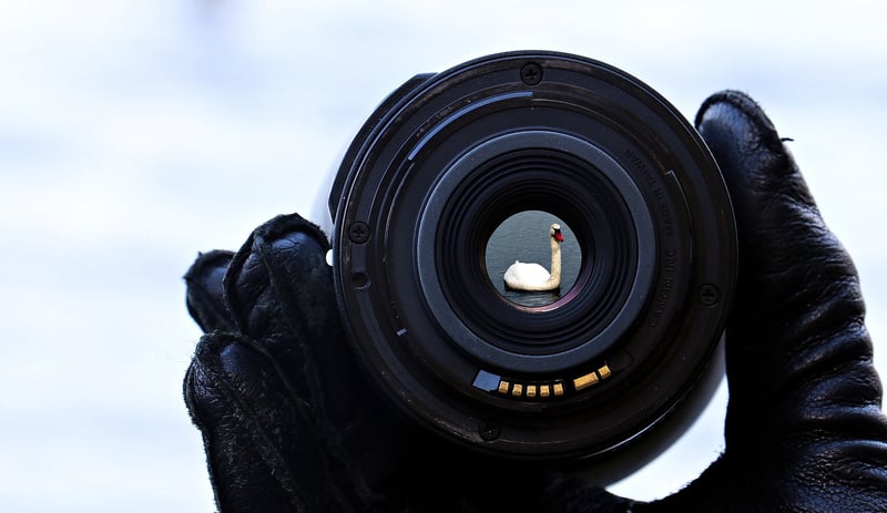 Focus Techniques